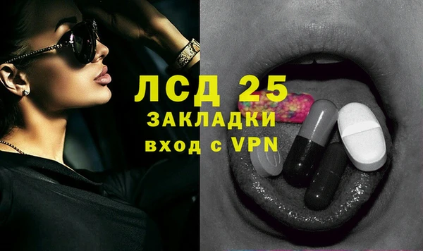spice Карпинск