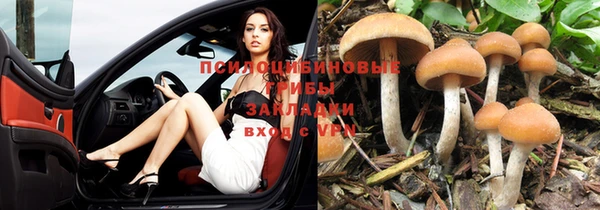 хмурый Киреевск