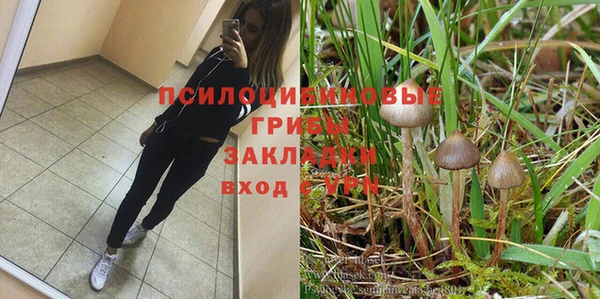 хмурый Саяногорск