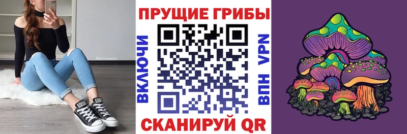 магазин    Казань  Галлюциногенные грибы Psilocybe 